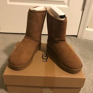 Classic short uggs